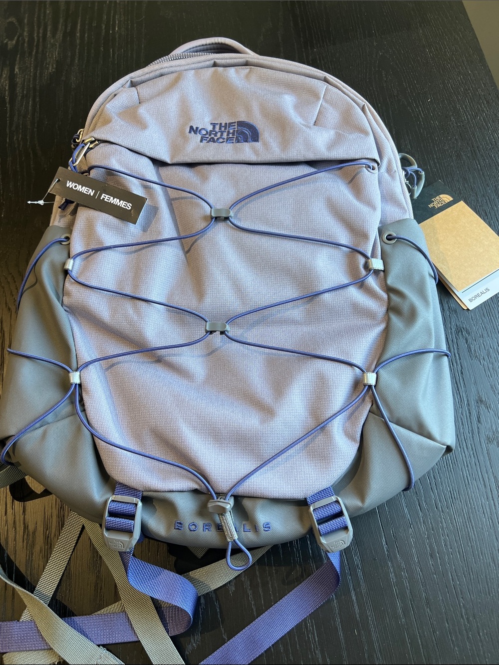The North Face Borealis Backpack - Lavender and Gray